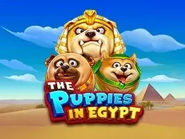 The Puppies In Egypt